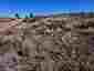 Pocatello Real Estate - MLS #580511 - Photograph #26