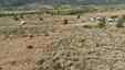 Pocatello Real Estate - MLS #580512 - Photograph #13