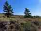Pocatello Real Estate - MLS #580512 - Photograph #23