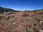 Pocatello Real Estate - MLS #580513 - Photograph #32