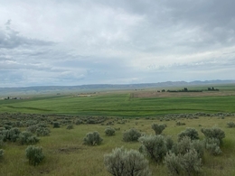 Bancroft Idaho Real Estate