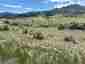 Pocatello Real Estate - MLS #581410 - Photograph #2
