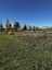 Pocatello Real Estate - MLS #581592 - Photograph #4