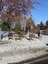 Pocatello Real Estate - MLS #581697 - Photograph #29