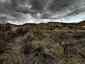 Pocatello Real Estate - MLS #581734 - Photograph #25