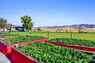 Pocatello Real Estate - MLS #581834 - Photograph #36
