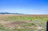 Pocatello Real Estate - MLS #581834 - Photograph #48