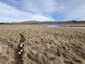 Pocatello Real Estate - MLS #581855 - Photograph #44