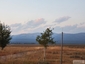 Pocatello Real Estate - MLS #581999 - Photograph #21