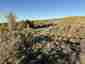 Pocatello Real Estate - MLS #582006 - Photograph #4