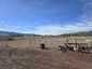 Pocatello Real Estate - MLS #582009 - Photograph #40