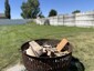 Pocatello Real Estate - MLS #582022 - Photograph #32