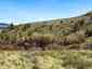 Pocatello Real Estate - MLS #582156 - Photograph #5