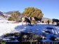 Pocatello Real Estate - MLS #582180 - Photograph #44