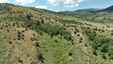 Pocatello Real Estate - MLS #582180 - Photograph #4
