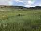 Pocatello Real Estate - MLS #582180 - Photograph #16