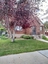 Pocatello Real Estate - MLS #582199 - Photograph #3
