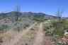 Pocatello Real Estate - MLS #582205 - Photograph #39