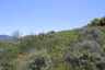 Pocatello Real Estate - MLS #582205 - Photograph #45