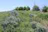 Pocatello Real Estate - MLS #582205 - Photograph #12