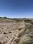 Pocatello Real Estate - MLS #582218 - Photograph #15