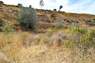 Pocatello Real Estate - MLS #582365 - Photograph #8