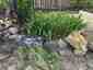 Pocatello Real Estate - MLS #582433 - Photograph #4