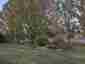 Pocatello Real Estate - MLS #582480 - Photograph #33