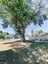 Pocatello Real Estate - MLS #582537 - Photograph #4