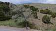 Pocatello Real Estate - MLS #582540 - Photograph #2