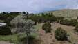 Pocatello Real Estate - MLS #582540 - Photograph #3