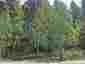 Pocatello Real Estate - MLS #582553 - Photograph #2