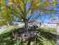 Pocatello Real Estate - MLS #582557 - Photograph #2