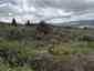 Pocatello Real Estate - MLS #582567 - Photograph #3