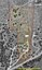 Pocatello Real Estate - MLS #582572 - Photograph #38