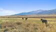 Pocatello Real Estate - MLS #582584 - Photograph #15