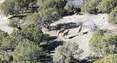 Pocatello Real Estate - MLS #582584 - Photograph #24