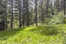Pocatello Real Estate - MLS #582595 - Photograph #2