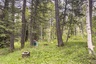 Pocatello Real Estate - MLS #582595 - Photograph #16