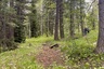 Pocatello Real Estate - MLS #582595 - Photograph #17