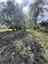 Pocatello Real Estate - MLS #582614 - Photograph #25