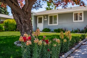 Blackfoot Idaho Real Estate