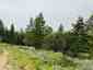 Pocatello Real Estate - MLS #582769 - Photograph #4