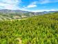 Pocatello Real Estate - MLS #582778 - Photograph #2