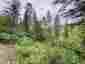Pocatello Real Estate - MLS #582778 - Photograph #7
