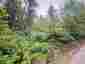 Pocatello Real Estate - MLS #582778 - Photograph #9