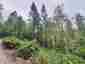 Pocatello Real Estate - MLS #582778 - Photograph #10