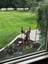 Pocatello Real Estate - MLS #582799 - Photograph #4