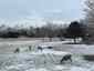 Pocatello Real Estate - MLS #582799 - Photograph #6