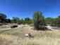 Pocatello Real Estate - MLS #582945 - Photograph #5